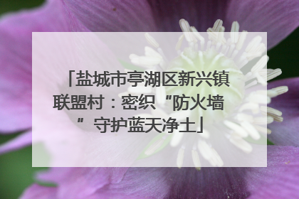 盐城市亭湖区新兴镇联盟村：密织“防火墙”守护蓝天净土