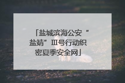 盐城滨海公安“盐靖”Ⅲ号行动织密夏季安全网