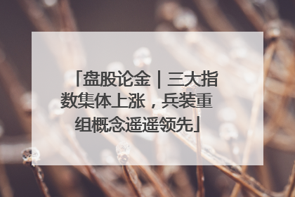 盘股论金｜三大指数集体上涨，兵装重组概念遥遥领先