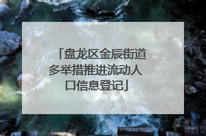 盘龙区金辰街道多举措推进流动人口信息登记