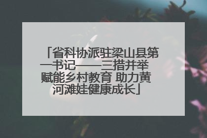 省科协派驻梁山县第一书记——三措并举 赋能乡村教育 助力黄河滩娃健康成长