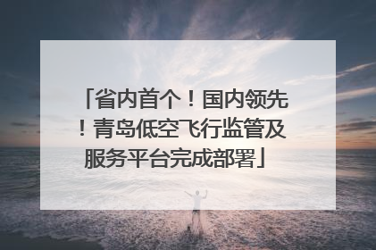 省内首个！国内领先！青岛低空飞行监管及服务平台完成部署