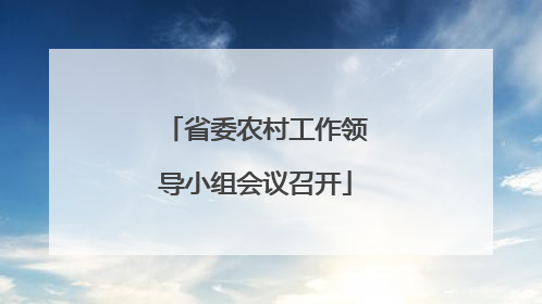 省委农村工作领导小组会议召开