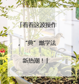 看看这波操作，“典”燃学法新热潮！