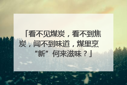 看不见煤炭，看不到焦炭，闻不到味道，煤里烹“新”何来滋味？