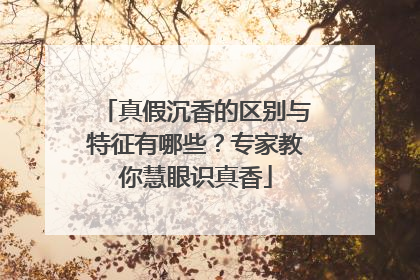 真假沉香的区别与特征有哪些？专家教你慧眼识真香