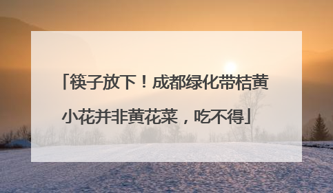 筷子放下！成都绿化带桔黄小花并非黄花菜，吃不得