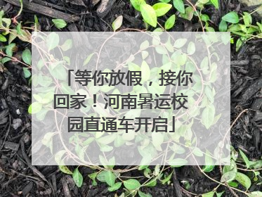 等你放假，接你回家！河南暑运校园直通车开启