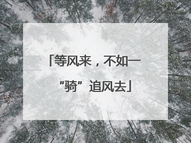 等风来，不如一“骑”追风去