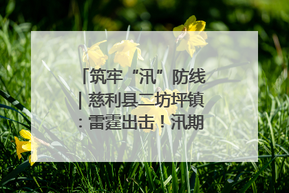 筑牢“汛”防线｜慈利县二坊坪镇：雷霆出击！汛期捕鱼被紧急叫停
