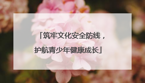 筑牢文化安全防线，护航青少年健康成长