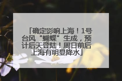 确定影响上海！1号台风“蝴蝶”生成，预计后天登陆！周日前后上海有明显降水