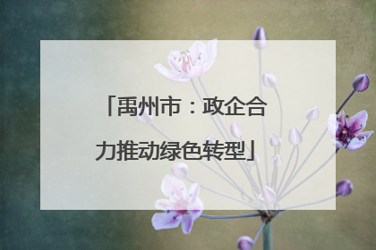 禹州市：政企合力推动绿色转型