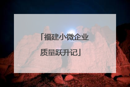 福建小微企业质量跃升记