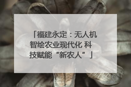 福建永定：无人机智绘农业现代化 科技赋能“新农人”