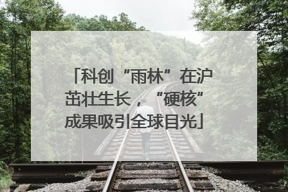 科创“雨林”在沪茁壮生长，“硬核”成果吸引全球目光