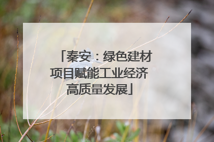 秦安：绿色建材项目赋能工业经济高质量发展