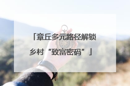 章丘多元路径解锁乡村“致富密码”