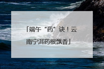 端午“药”诀！云南宁洱药根飘香