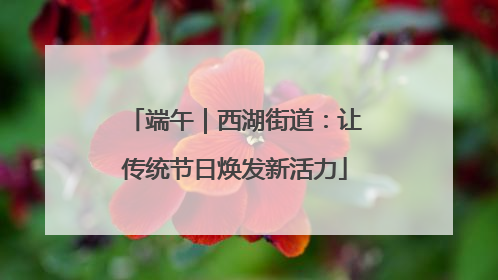 端午｜西湖街道：让传统节日焕发新活力