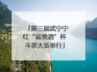 第三届武宁宁红“省美酒”杯斗茶大赛举行
