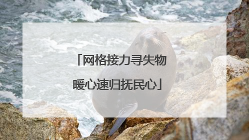 网格接力寻失物 暖心速归抚民心