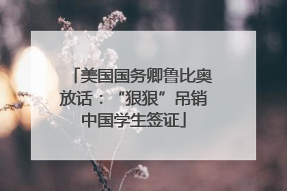 美国国务卿鲁比奥放话：“狠狠”吊销中国学生签证