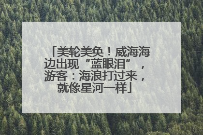 美轮美奂！威海海边出现“蓝眼泪”，游客：海浪打过来，就像星河一样