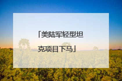 美陆军轻型坦克项目下马