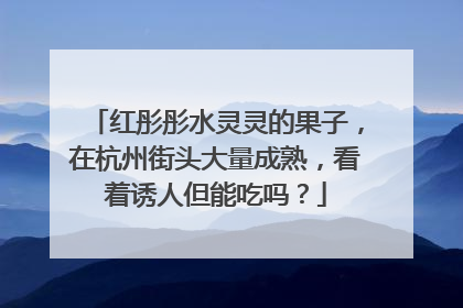 红彤彤水灵灵的果子，在杭州街头大量成熟，看着诱人但能吃吗？