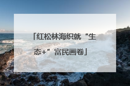 红松林海织就“生态+”富民画卷