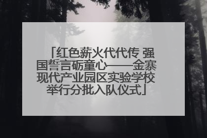 红色薪火代代传 强国誓言砺童心——金寨现代产业园区实验学校举行分批入队仪式