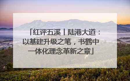 红评五溪丨陆港大道：以基建升级之笔，书鹤中一体化理念革新之章
