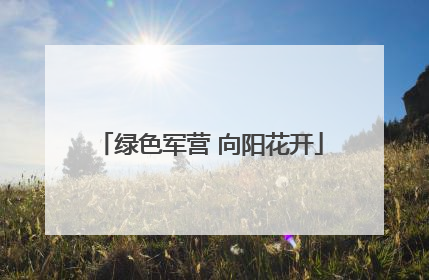 绿色军营 向阳花开