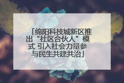 绵阳科技城新区推出“社区合伙人”模式 引入社会力量参与民生共建共治