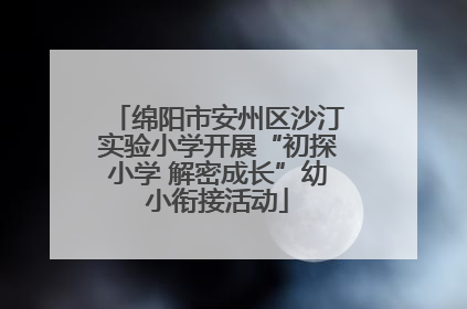 绵阳市安州区沙汀实验小学开展“初探小学 解密成长”幼小衔接活动