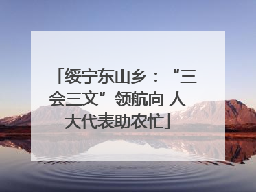 绥宁东山乡：“三会三文”领航向 人大代表助农忙