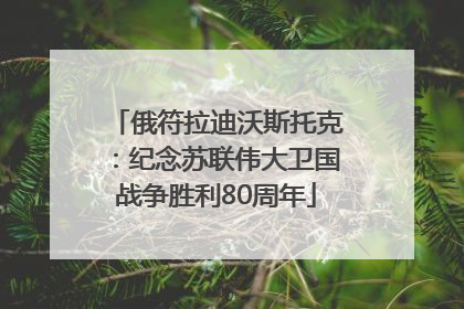 俄符拉迪沃斯托克：纪念苏联伟大卫国战争胜利80周年