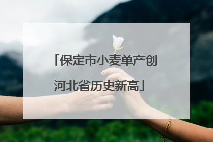 保定市小麦单产创河北省历史新高