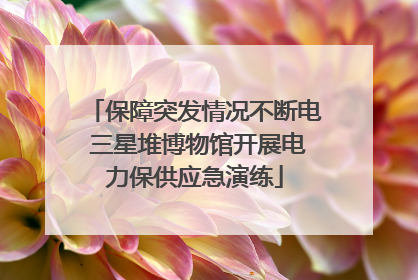 保障突发情况不断电 三星堆博物馆开展电力保供应急演练