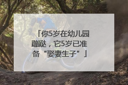 你5岁在幼儿园蹦跶，它5岁已准备“娶妻生子”