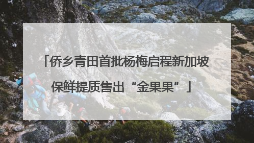 侨乡青田首批杨梅启程新加坡 保鲜提质售出“金果果”