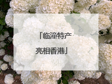 临潼特产亮相香港