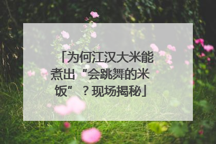 为何江汉大米能煮出“会跳舞的米饭”？现场揭秘