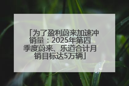 为了盈利蔚来加速冲销量：2025年第四季度蔚来、乐道合计月销目标达5万辆