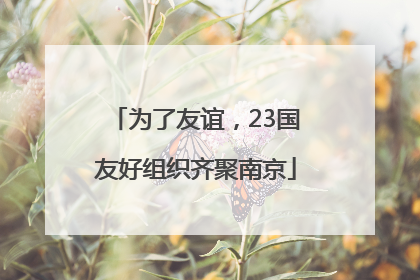 为了友谊，23国友好组织齐聚南京