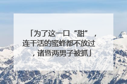 为了这一口“甜”，连干活的蜜蜂都不放过，诸暨两男子被抓