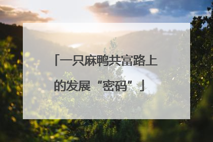 一只麻鸭共富路上的发展“密码”