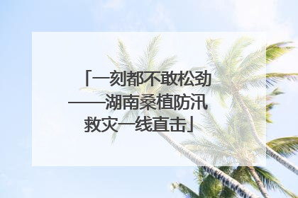 一刻都不敢松劲——湖南桑植防汛救灾一线直击