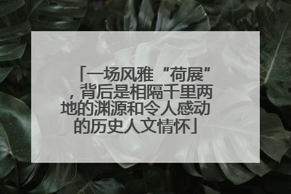 一场风雅“荷展”，背后是相隔千里两地的渊源和令人感动的历史人文情怀